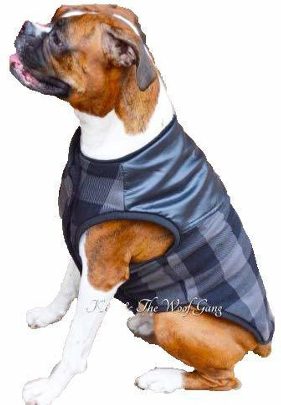 Kitty & The Woof Gang T-shirt for Dog(Grey)
