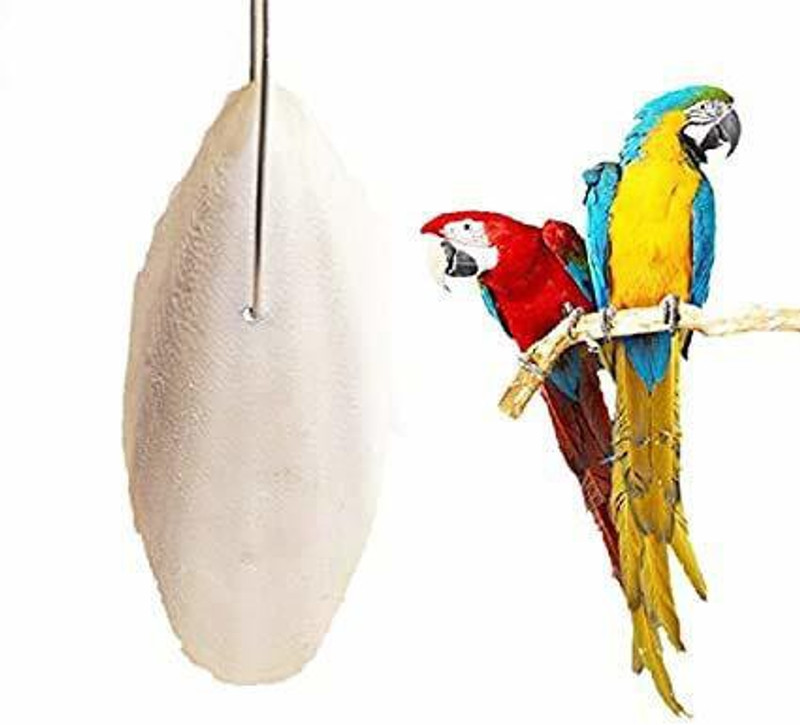 Sage Square Natural High Calcium Source Cuttlebone Fish for Birds, Parrot (100grm) Fish Bird Chew(100 g, Pack of 1)