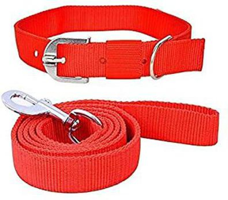 Petstorez Dog Neck Collar Belts and Leash Set (Red Color, Waterproof, Medium, Nylon, Leash Dog & Cat Collar & Leash(Medium, RED)