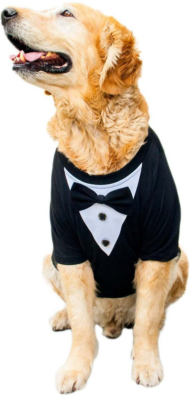 RUSE Tuxedo for Dog(Easy Breezy dog Tuxedo (Black))