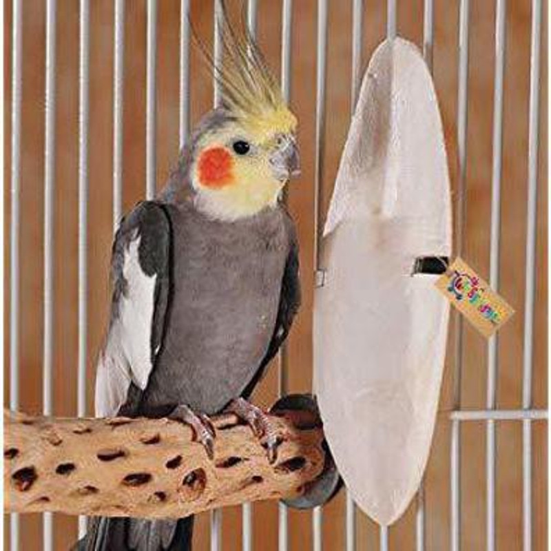 Western Era Natural High Calcium Source Cuttlebone Fish for Birds, Parrot (100grm) Chicken 0.1 kg Dry New Born, Young, Adult, Senior Bird Food