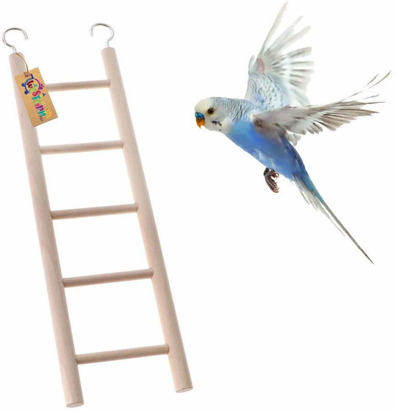 Western Era Fun Natural Wooden Ladder Toy/ Training/ Hooks to hang for Birds 4Level/22cm Wooden Training Aid, Stick, Perch For Bird