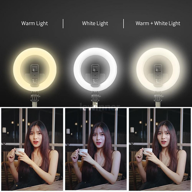 ENMORA Selfie Stick with Led Fill Light L20 Monopod Kit(Black, Supports Up to 2500 g)