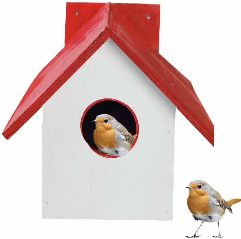 LIVEONCE wood bird house color -green pack of -1 Bird House(Wall Mounting)