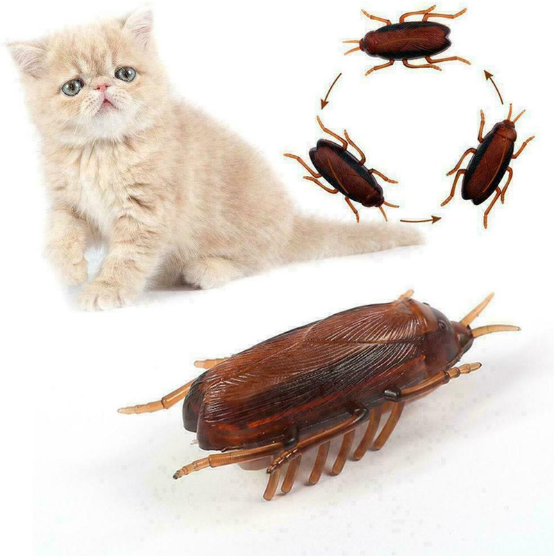 URBANE CHIC Electronic Cockroach Bug Vibrating Prank Toy for Fun - Simulation Insect Crawl Cockroach Gag Toy(Brown)