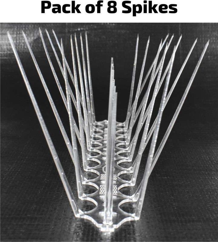 WNE Jaliwale Bird Spike