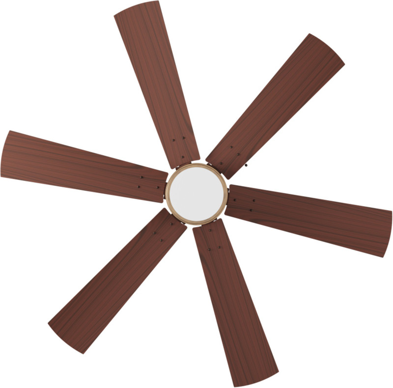 fcespst015p-75-1-ceiling-fan-1200-polycab-original-imagf5gtpp8hrbqb.jpeg