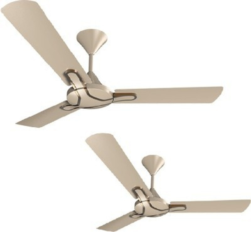 gianna-1200-mm-3-blade-ceiling-fan-tapioca-75-2-ceiling-fan-1200-original-imagfc4gkwjft2xh.jpeg
