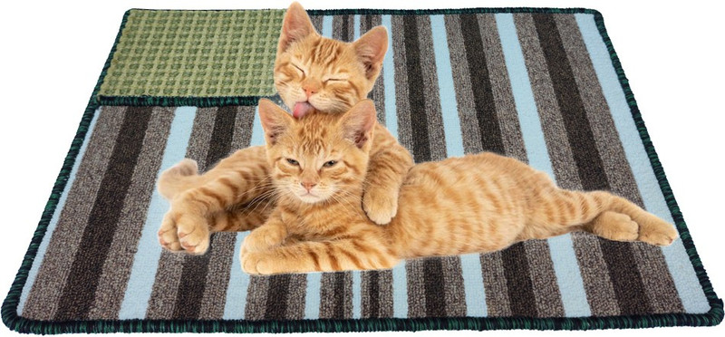 Mats Avenue Cat Bed and Scratcher Free Standing Cat Tree
