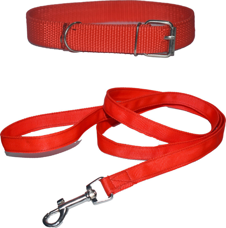 animoxkart Neck Collar Belts and Leash Set Red 19mm 150 cm Dog & Cat Cord Leash(Red)