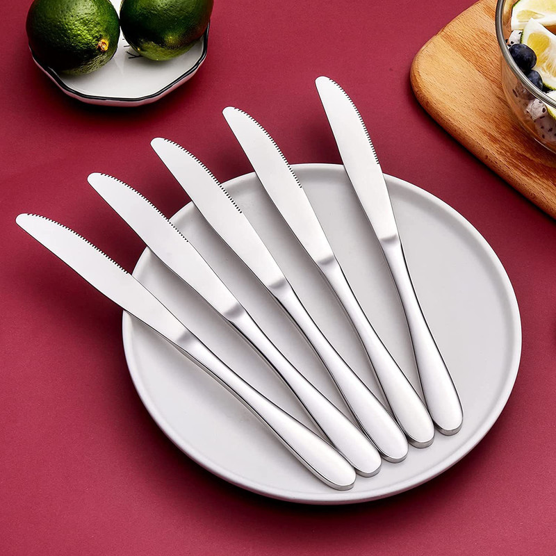 Convay 5 Pc Stainless Steel Knife Set Knife with Holes Set of 5 Butter Knives