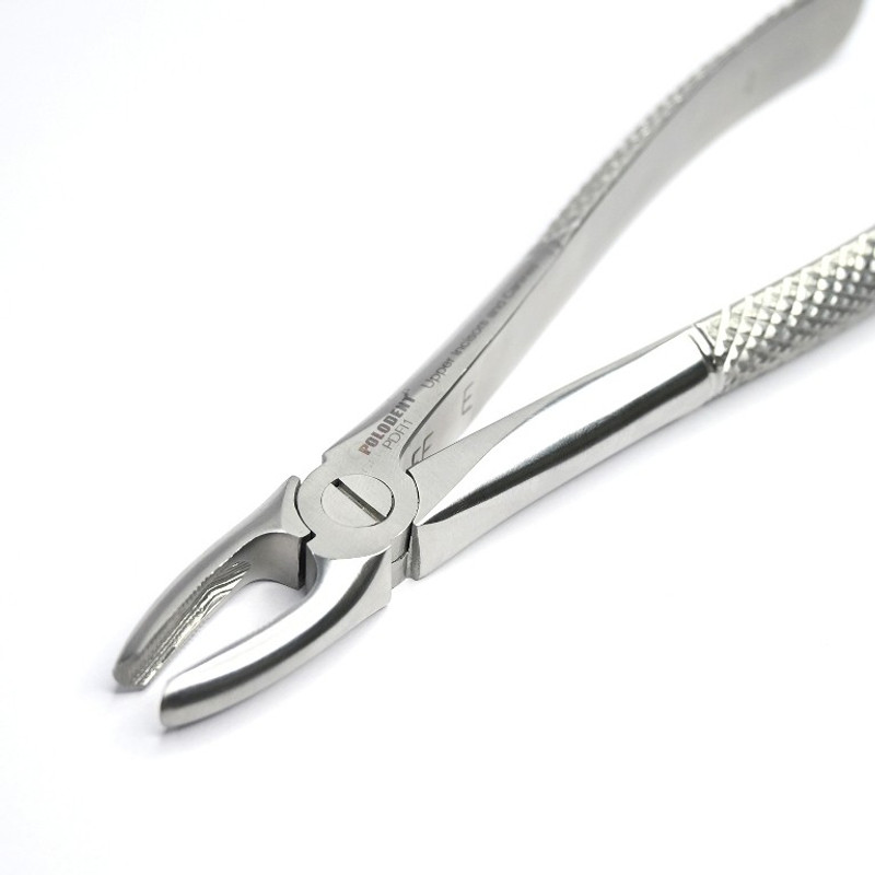 Polodent Extraction Forceps Lower Premolars Standard (#1) Dental Elevator