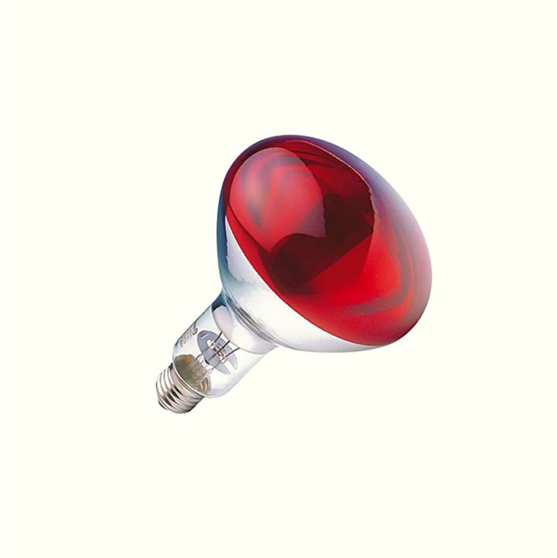 Cj farms and agritech Infra Red Heat Lamp for Chicks,Puppies Piglet and Birds 100w Pet Dryer(Red)