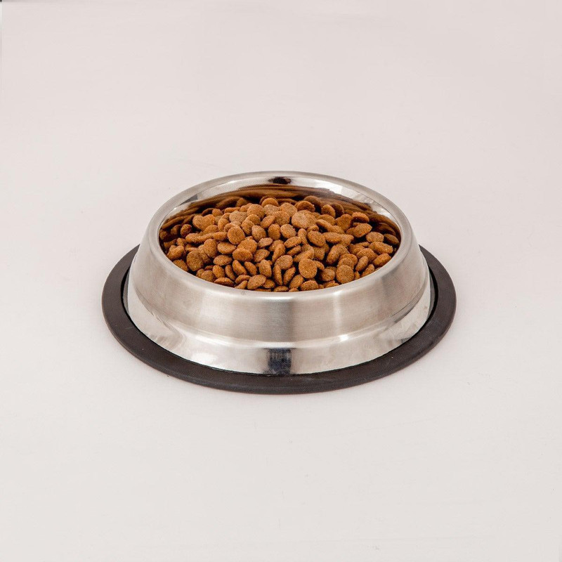 Home4U Archie Pet Bowl Stainless Steel Pet Bowl(200 ml Black)