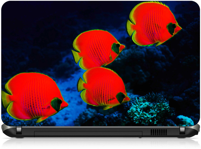 Box 18 Fishes1689 Vinyl Laptop Decal 15.6