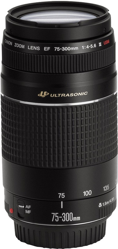 Canon EF 75 - 300 mm f/4-5.6 III Telephoto Zoom Lens(Black)
