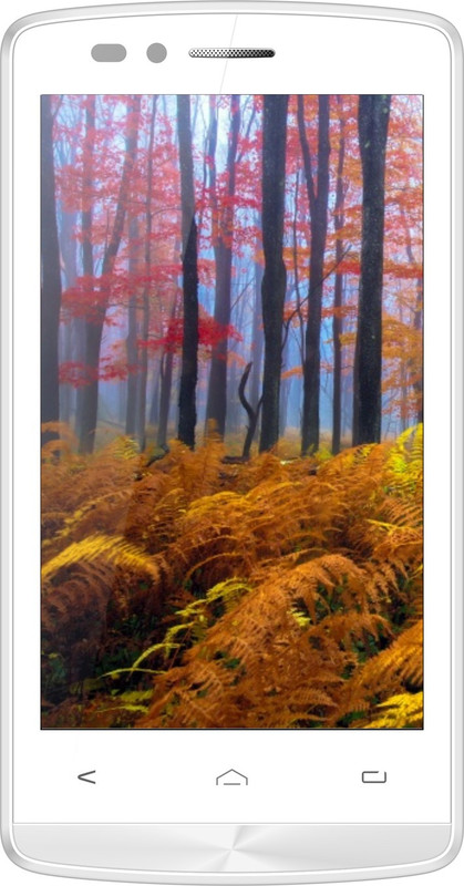 Wham Q4 (White, 8 GB)(1 GB RAM)