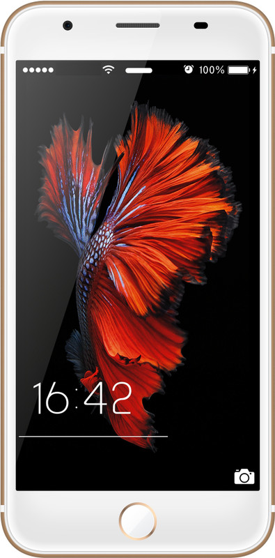 Reach Allure (Gold, 8 GB)(1 GB RAM)