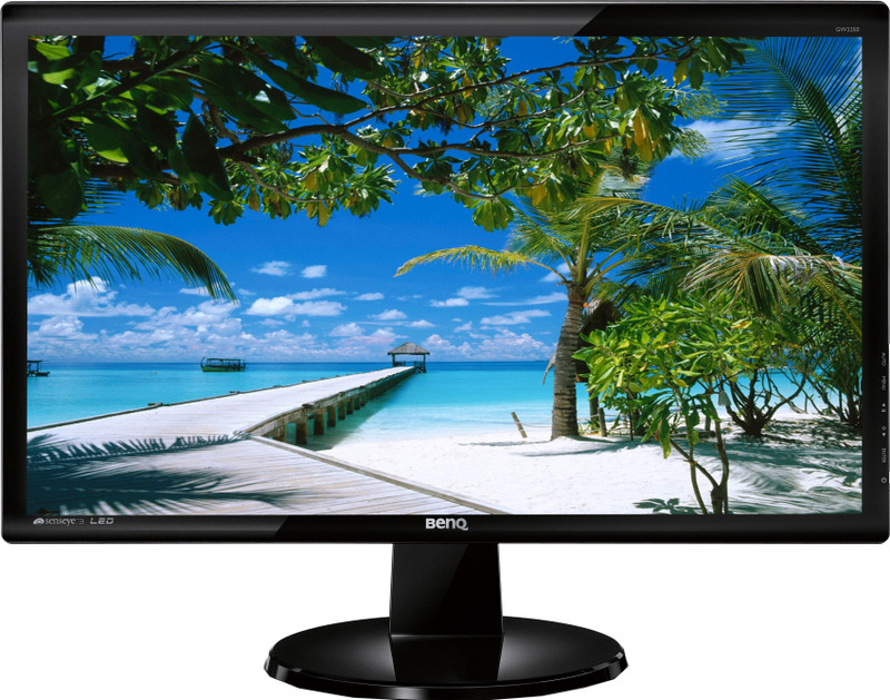 BenQ GW2250 21.5 inch LCD Monitor(VGA)