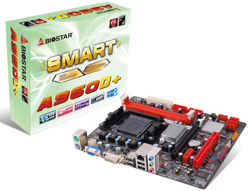 BIOSTAR A960D+ Motherboard(Black)