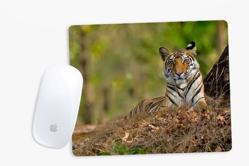 Sowing Happiness SHMUSPD090 Mousepad(Multicolor) Sowing Happiness SHMUSPD090 Mousepad(Multicolor)