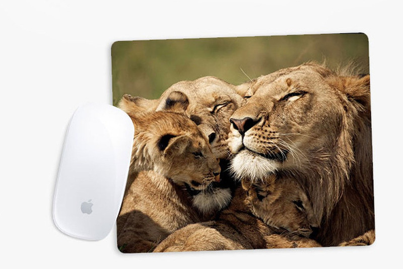 Sowing Happiness SHMUSPD016 Mousepad(Multicolor) Sowing Happiness SHMUSPD016 Mousepad(Multicolor)