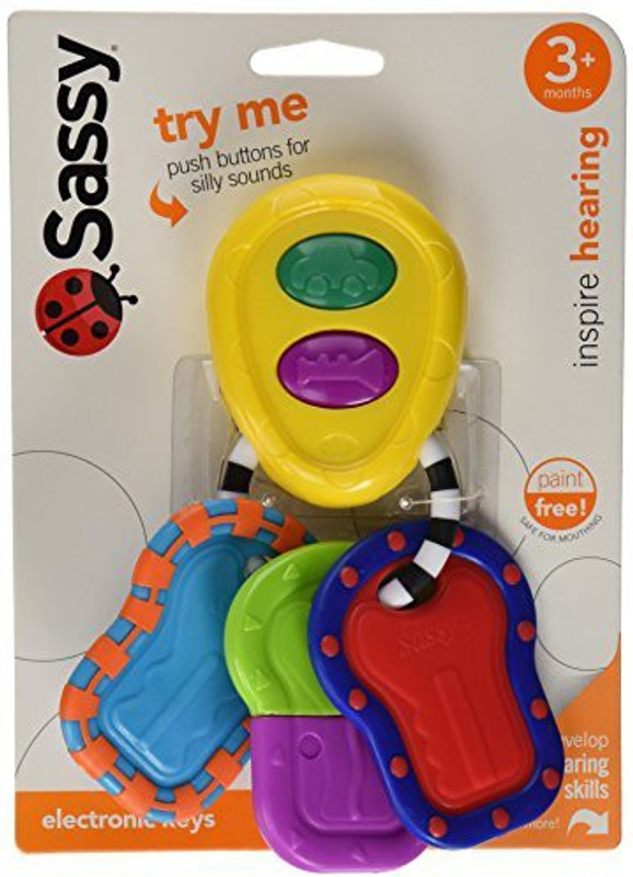 Sassy Electronic Keys