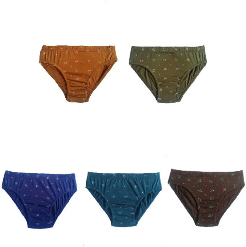 Dixcy Women Hipster Multicolor Panty(Pack of 4)