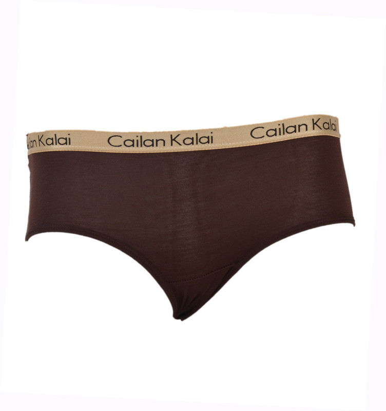Cailan Kalai Women Hipster Brown Panty(Pack of 1)