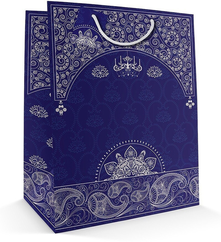 Paper Bag Zone Printed Party Bag(Blue, White, Pack of 10)