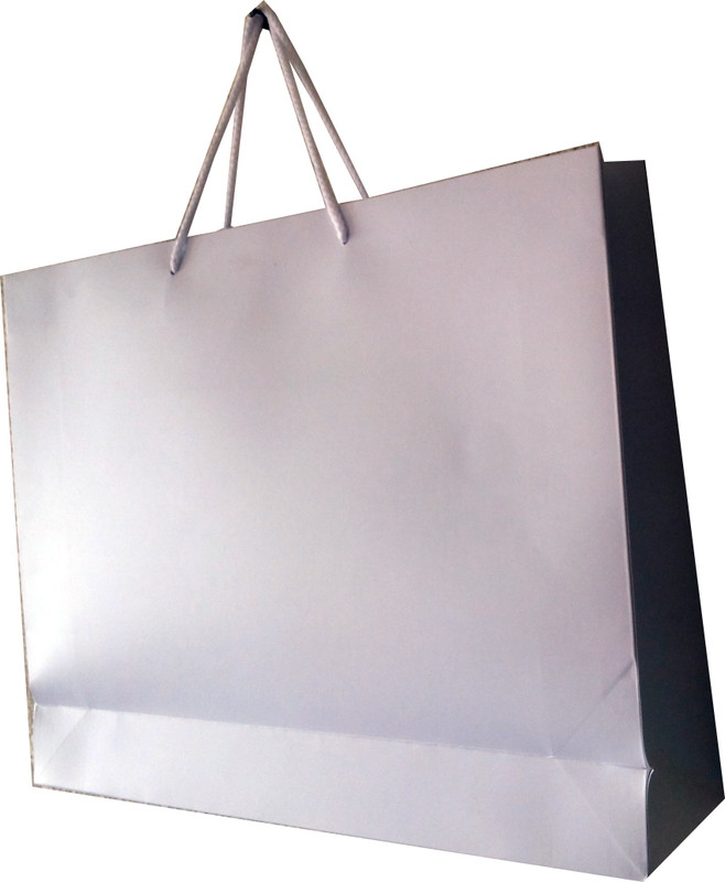 Paper Bag Zone Printed Party Bag(White, Pack of 10)