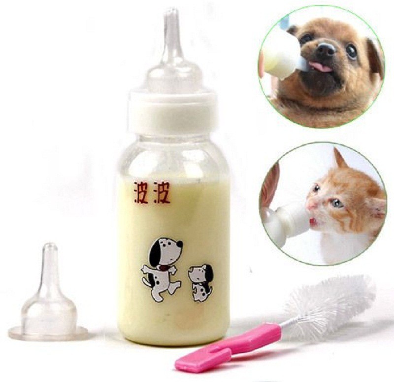 Up to 60% Off - Pet Bowls & Bottles - pet_supplies
