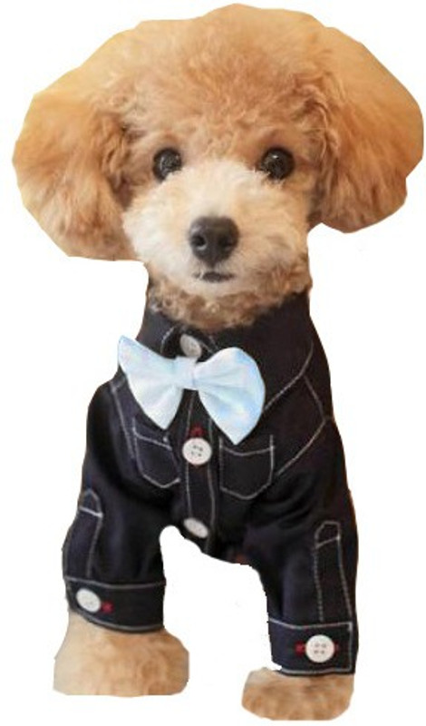 Futaba Fashion Dog Bowknot Tie - BlueFashion Dog Bowknot Tie - Blue Embellished Dog Collar Charm(Blue, Other)