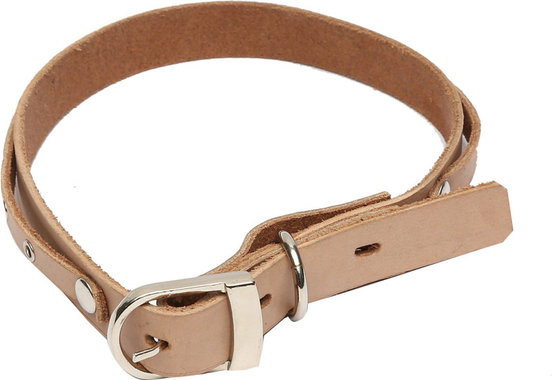 hawai-beige-genuine-leather-dog-collar-hawai-original-imaerm8rrtafrntk.jpeg