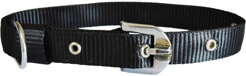 smooth-sturdy-black-collar-3-4-inch-pawzone-original-imaehxdgdz6zhj2u.jpeg