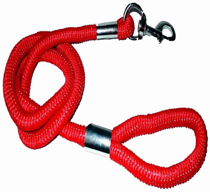 Pethub 154 cm Dog Cord Leash(Red)