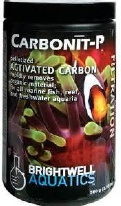 brightwell Nutrition Supplement Powder(250 ml)
