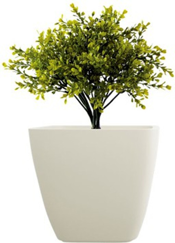 yuccabe italia asa Plant Container(Fiber Glass, Plastic, External Height - 15 cm)