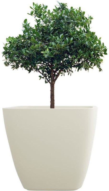 yuccabe italia asa Plant Container(Fiber Glass, Plastic, External Height - 25 cm)