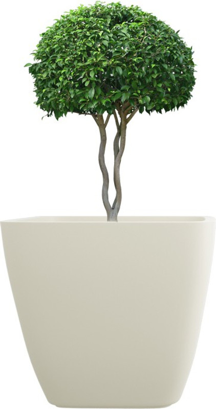 yuccabe italia Plant Container(Fiber Glass, Plastic, External Height - 30 cm)