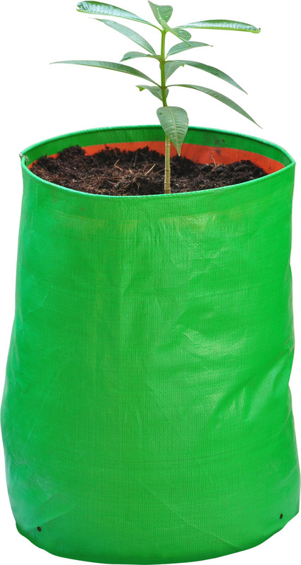 gro smart Plant Container(Polythene, External Height - 12 cm)
