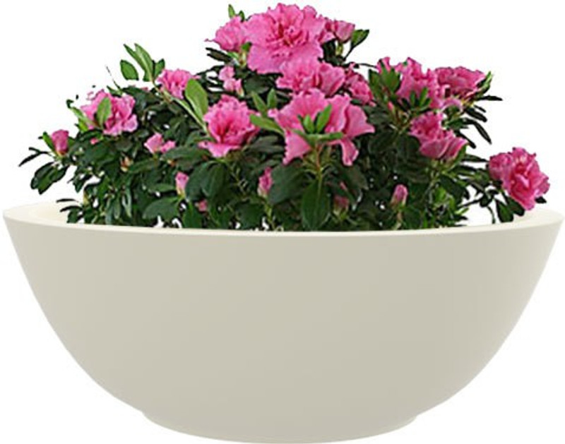 yuccabe italia ktr Plant Container(Fiber Glass, Plastic, External Height - 17.5 cm)