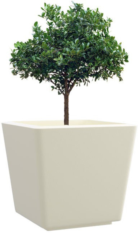 yuccabe italia gk Plant Container(Fiber Glass, Plastic, External Height - 25 cm)
