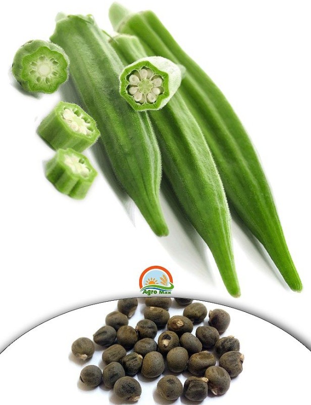 Agro Max Okra - Lady Finger Vegetable Seeds Seed(30 per packet) RS.75 (77.00% Off) - Flipkart