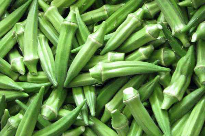 okra seeds for tea Okra – super food and medicine flower buds and petals can be eaten or used to make tea the seeds can be dried and used like okra seeds may treat and. okra seeds for tea Okra – super food and medicine flower buds and petals can be eaten or used to make tea the seeds can be dried and used like okra seeds may treat and.