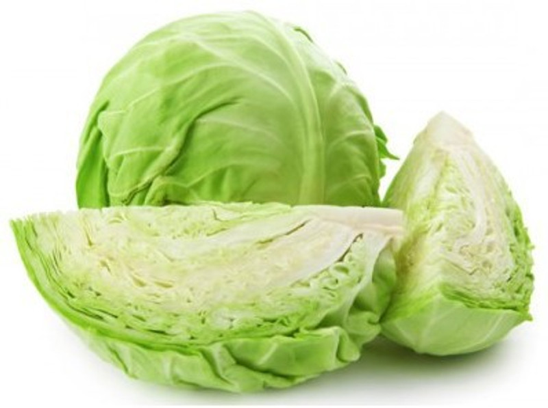 natural live Brassica oleracea var. capitata Seed(100 per packet)