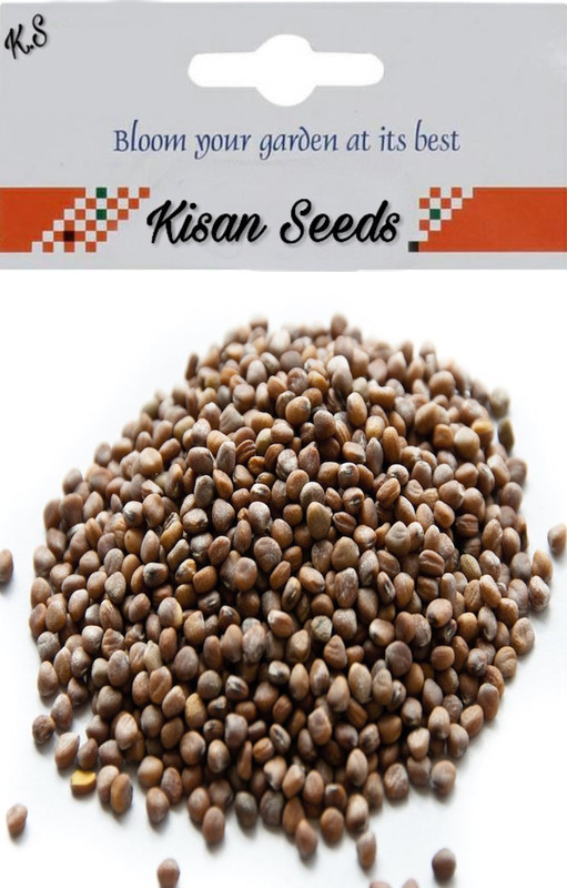 kisan seeds Argula Seed(20 per packet)