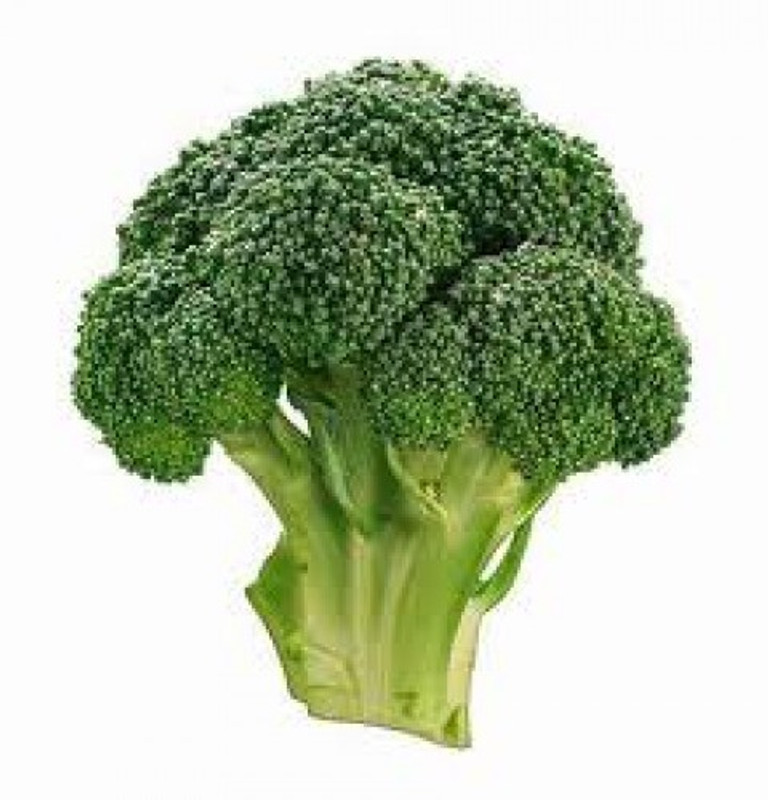 natural live Brassica oleracea var. italica Seed(20 per packet)