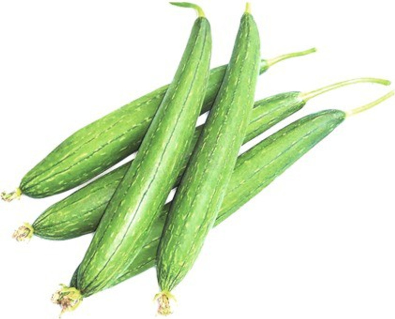 natural live F1 Sponge gourd komal Seed(5 per packet)