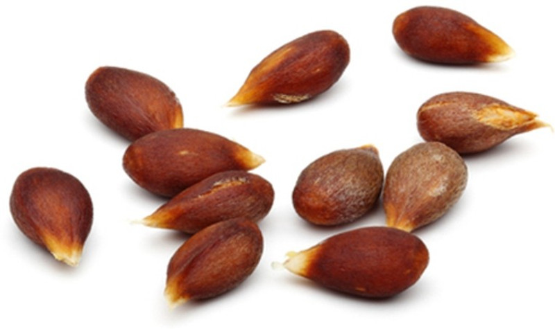 rosemerc Apple Seed(10 per packet)